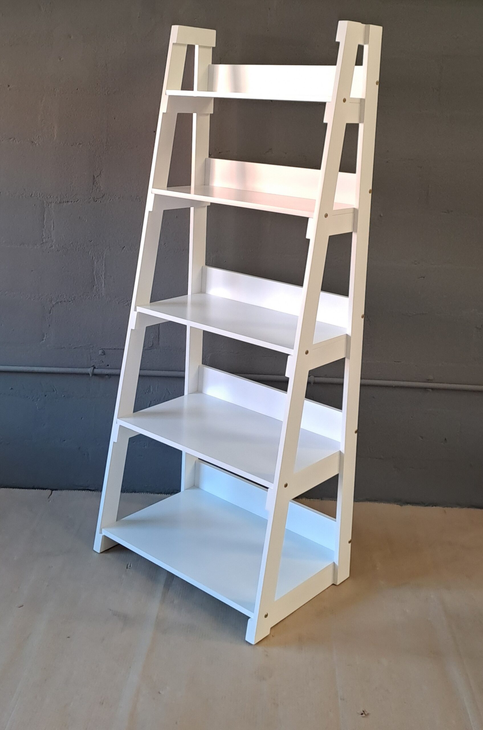 Ladder-Bookshelf